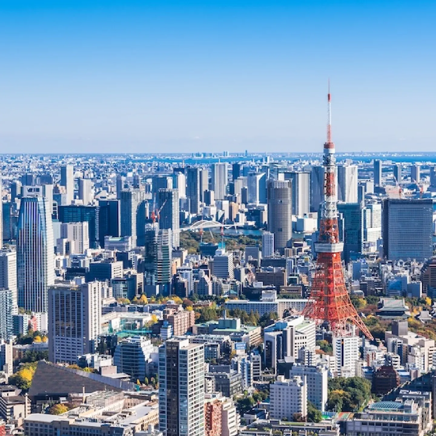 東京タワーと都市の町並み